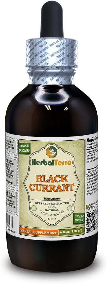 Black Currant (Ribes nigrum) Tincture, Dried Leaves Liquid Extract (Brand Name: HerbalTerra, Proudly Made in USA) 4 fl.oz (120 ml)