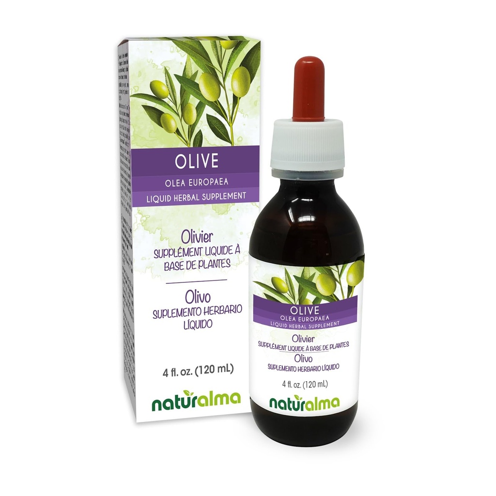 Naturalma Olive (Olea europaea) Leaf Alcohol-Free Tintura - 4 fl oz Liquid Extract in Drops - Herbal Supplement - Vegan