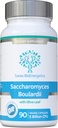 Saccharomyces Boulardii 5 billón CFU 90 cápsulas - No se requiere refrigeración - Alta resistencia levadura no colonial con hoja de oliva sinérgica, biotina y vitamina D3