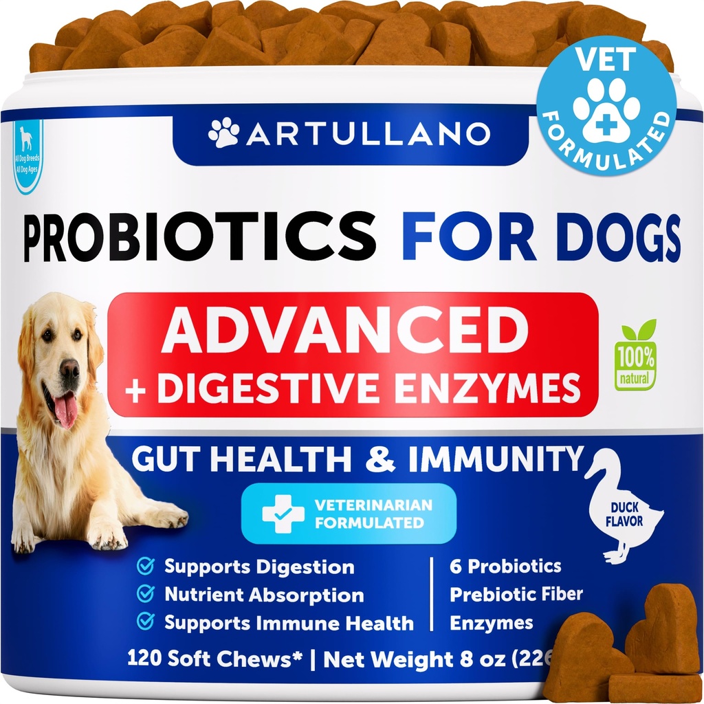 Probióticos para perros - Apoyo Gut Health, Itchy Skin, Alergías, Inmunity, Yeast Balance - Probióticos para perros y enzimas digestivas con prebióticos - Reducir la diarrea, Gas - 120 Chews probióticos para perros
