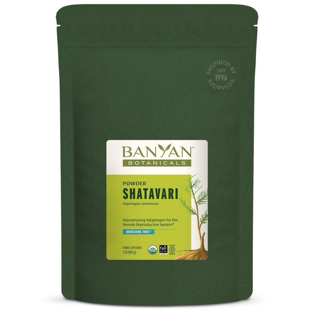 Banyan Botanicals Shatavari Powder – Orgánica Espárragos Racemosus Root Powder – Rejuvenecedora Adaptogen Tonic que apoya un Sistema Reproductivo Saludable* – 1 lb. – No GMO Sosteniblemente Fuente Vegan