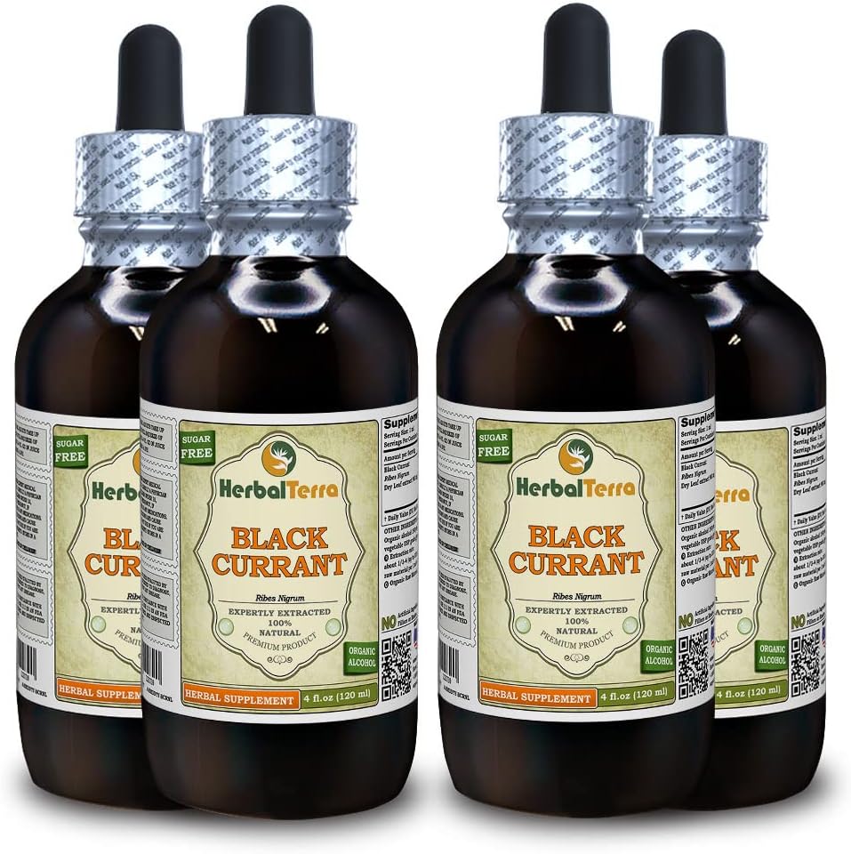 Currante Negro (Ribes nigrum) Tintura, hojas secas Extracto líquido (Marca: HerbalTerra, Proudly Made in USA) 4x4 fl.oz (4x120 ml)