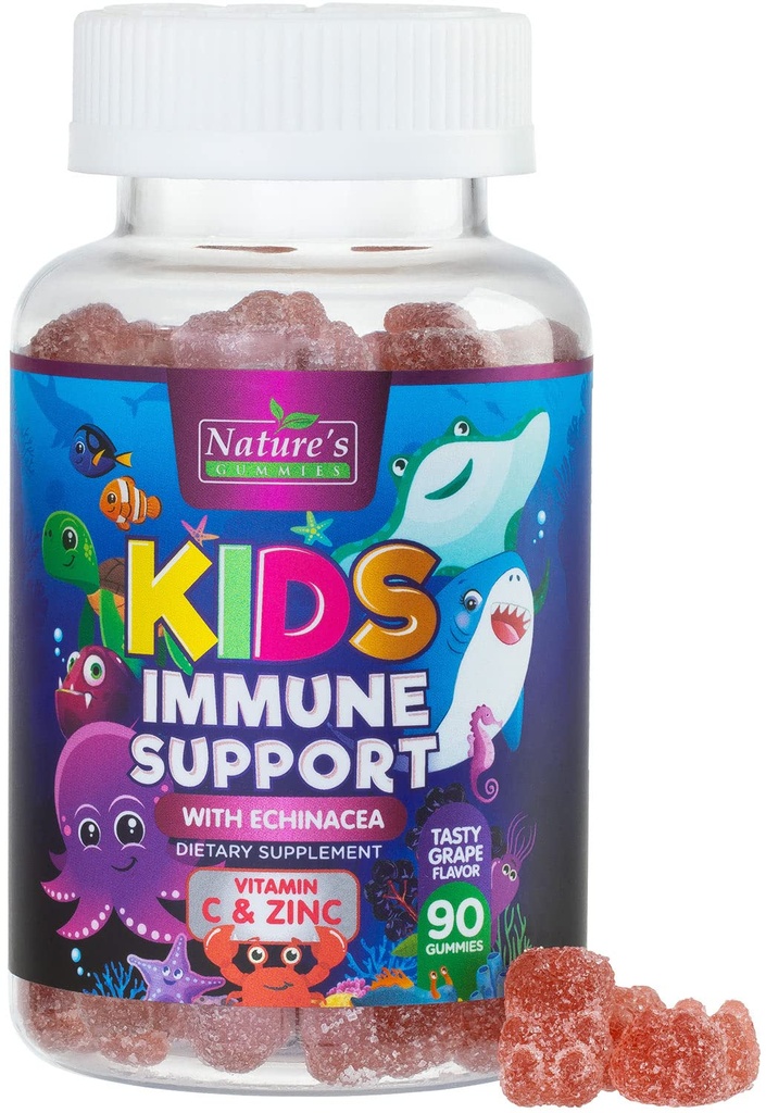 Niños de apoyo inmunológico Suplemento Gummies - Daily Childrens Vitaminas C, Zinc &amp; Echinacea - Gummy for Kids Immunity Support, Ages 4 and Up, Natural Berry Flavor, Non-GMO, Gluten-Free & Vegan - 90 Gummies