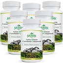 Hexose activo Correlated Compound 1500 mg Suplemento, Natural 8 Mushroom Extract Supplement, Immune System, Liver Function, Natural Killer and T Cells Activity, 540 Veggie Capsules