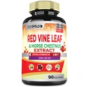 Red Vine Leaf Extract Capsules - con Caballo Chestnut, Beet Root, Ginger - Suplemento Herbal para el Corazón, Leg Vein & Energy - 90 cápsulas Vegan durante 45 días