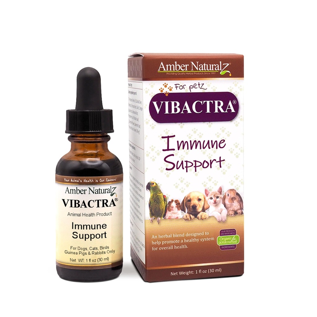Amber NaturalZ Vibactra Immune Apoyo Herbal Suplemento para Perros, Gatos, Aves, Películas de Guinea y Conejos ← Pet Herbal Blend for General Health ← 1 Fluid Ounce Glass Bottle ← Manufactured in The USA