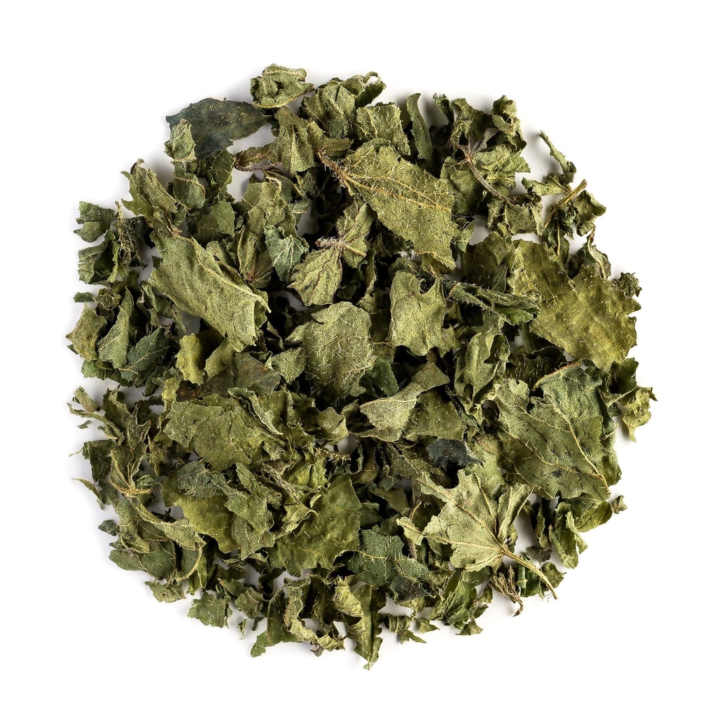Nettle Leaf Tea Organic Herbal - Nettles Dried Stinginging - Urtica Dioica - Orgánica Nettle Tea Nettles Nattle Tea Nettke Hoja Seca Nettle Leaves Nettles Herb Dry Nettle Tea Leaves Organic