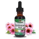 Respuesta de la naturaleza Echinacea Alcohol Gratuito Extracto 1 Fluid Ounce ← Promueve la Wellness general Silencio Natural Immune Booster ← Reductor Inflamatorio