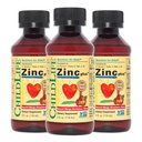 CHILDLIFE ESSENTIALS Liquid Zinc Plus for Kids &amp; Toddler - Liquid Supplement Drops, Zinc Gluconate " Copper for Immune Support - Mango Strawberry, 4 Fl Oz (Pack of 3)