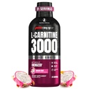 ProSupps L-Carnitine Liquid 3000, Zapatos líquidos libres de estimulantes para hombres y mujeres - Clean Workout Drink for Energy, Performance &amp; Muscle Recovery - No Sugar, No Carbs - 31 Servings, Dragon Fruit