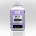 Brain Fuel+ DMAE Blend Memory Supplement for Focus, Mood, Mental Energy for Busy Men &amp; Women - 60 Capsules, Made in USA