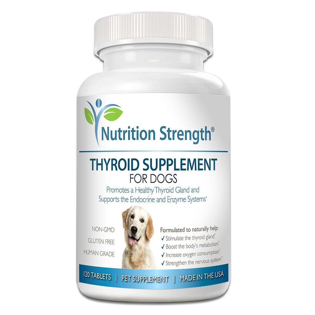 Suplemento de tiroides para perros, soporte para hipotiroidismo en perros con vejiga orgánica, promueve la función normal de sistemas endocrinos y enzimáticos, 120 Tabletas Chewable