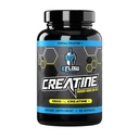 eFlow Creatine Capsules, HCL Creatine Pills - Suplemento Creatine para Hombres &amp; Mujeres, Muscle Builder, Endurance, Strength, con AstraGin y Senactiv (1500mg, 90 cápsulas)