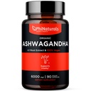 PhiNaturals Orgánica Ashwagandha Root Extract in Vegan Capsules Equal to 6000 Mg Root - Ashwaganda Supplement for Hombres and Women with 1500 Mg Por Serving 30 Servings - 500mg Por Vegan Capsule 90 Conde