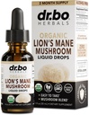 Lions Mane Mushroom Suplemento gotas - Organic Lion's Mane Mushroom Liquid Tintura para Focus, Fog Brain Health Suplementos - Vegan Herbal Nervine Nootropic Organic Lions Liquid Supplement Extract 1oz
