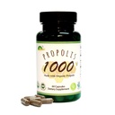 GREENBOW Propolis 1000mg NonGMO Hecho con Propolis 60 Capsules VEGAN CAPSULES