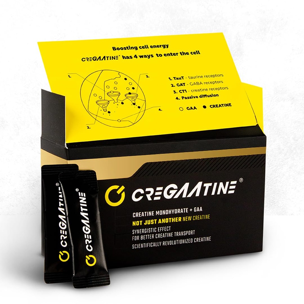 Monohidrato de creatina micronizada + GAA TENIDO Aumentar fuerza, No Retención de agua Silenciosos Memoria " Enfoque " Única-Serve Embalajes ANTE 60 Sachets, 30 Serviciones Silencioso (Sachets, Desflavorado)