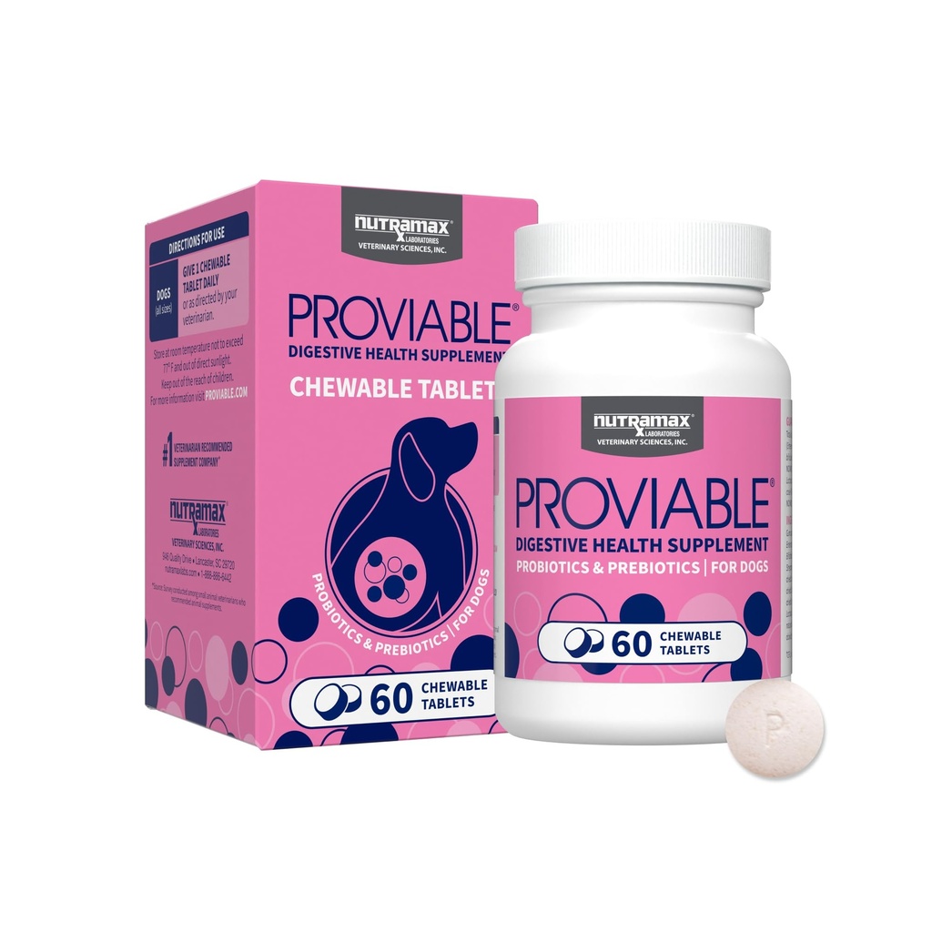 Probióticos proviables Nutramax para perros, suplemento diario de salud digestiva con múltiples estragos de bacterias, probióticos de perros más prebióticos, 60 tabletas chewable