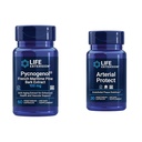 Extensión de vida Pycnogenol Francés Marítimo Pine Bark " Gotu Kola Arterial Health Supplements - 60 " 30 Vegetarian Capsules