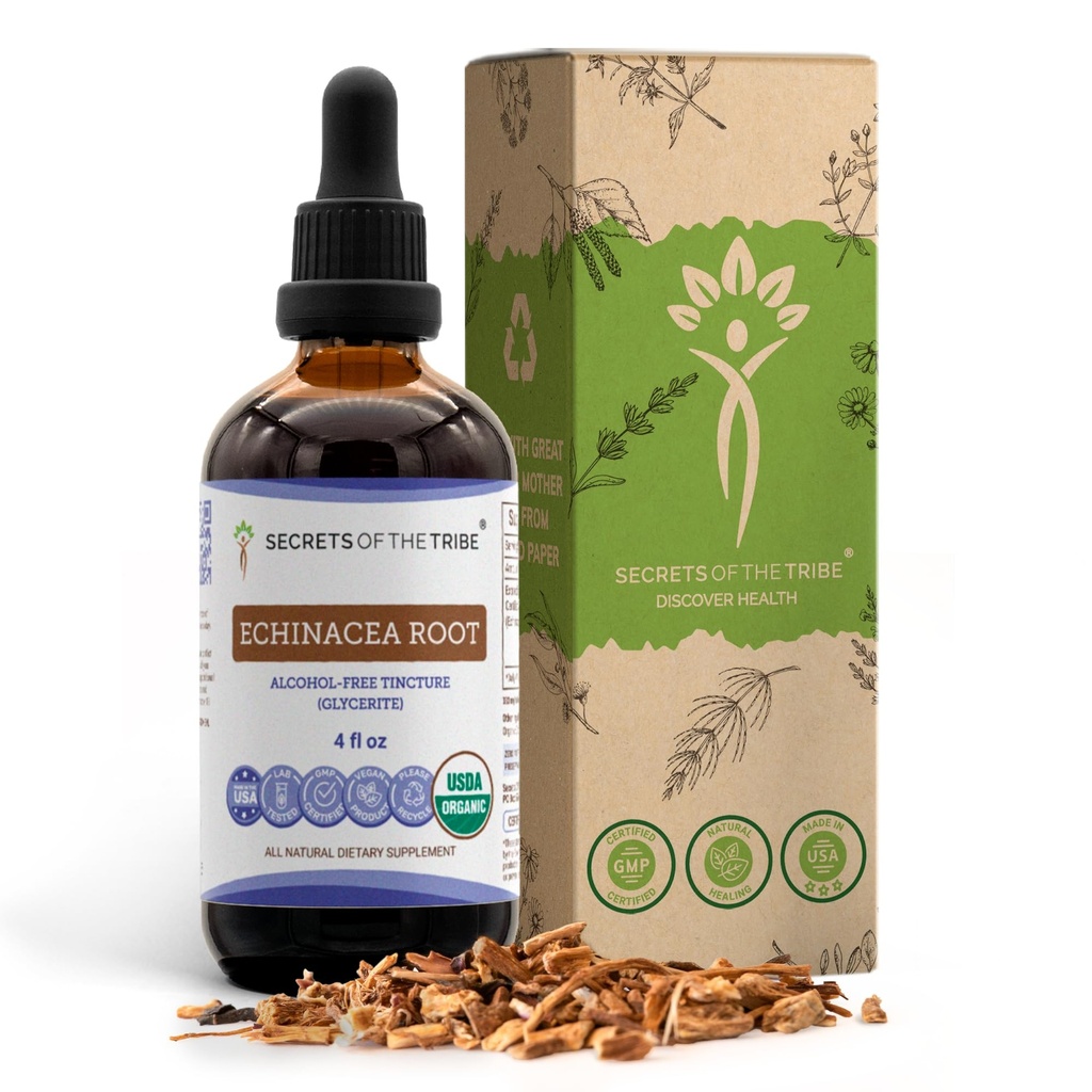 Echinacea Root USDA Organic Tincture ← Extracto libre de alcohol, gotas herbales de alta potencia, sistema inmunológico Salud Silencioso Hecho de 100% Certificado Echinacea Root (Echinacea Purpurea) 4 oz