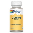 SOLARAY L Lysine 500 mg Capsules - Aminoácidos esenciales de formo libre Suplemento - Potente Wellness Soporte con L-Lysine Aminoácidos - Lab Garantía verificada, 60 días, 60 Servimientos, 60 VegCaps