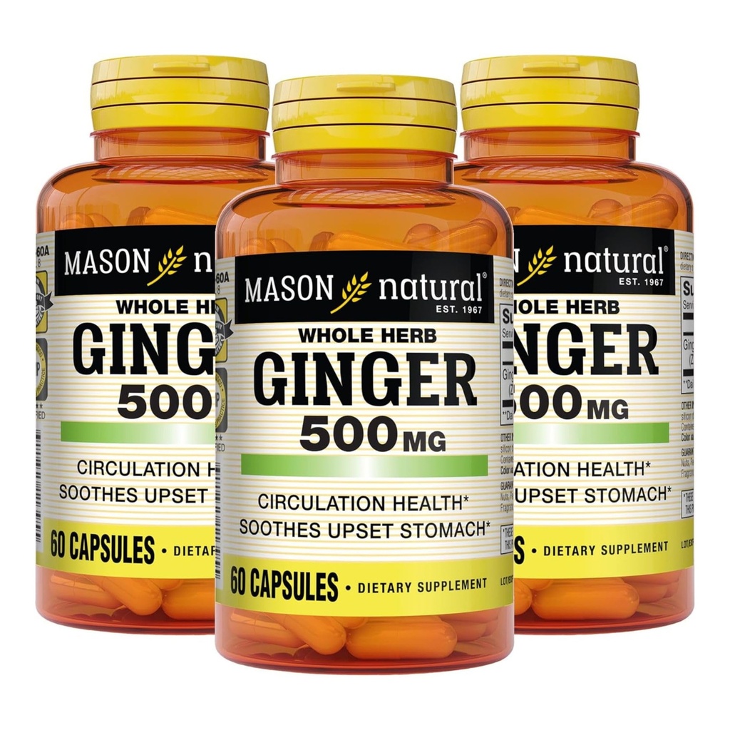 MASON NATURAL Whole Herb Ginger 500 mg, 6 Month Supply, Natural Herbal Suplemento, 60 cápsulas (3 Pack)