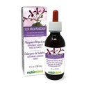 Naturalma South African Pelargonium o Umckaloaba (Pelargonium sidoides) Root Alcohol-Free Tintura - 4 fl oz Liquid Extract in Drops - Herbal Supplement - Vegan
