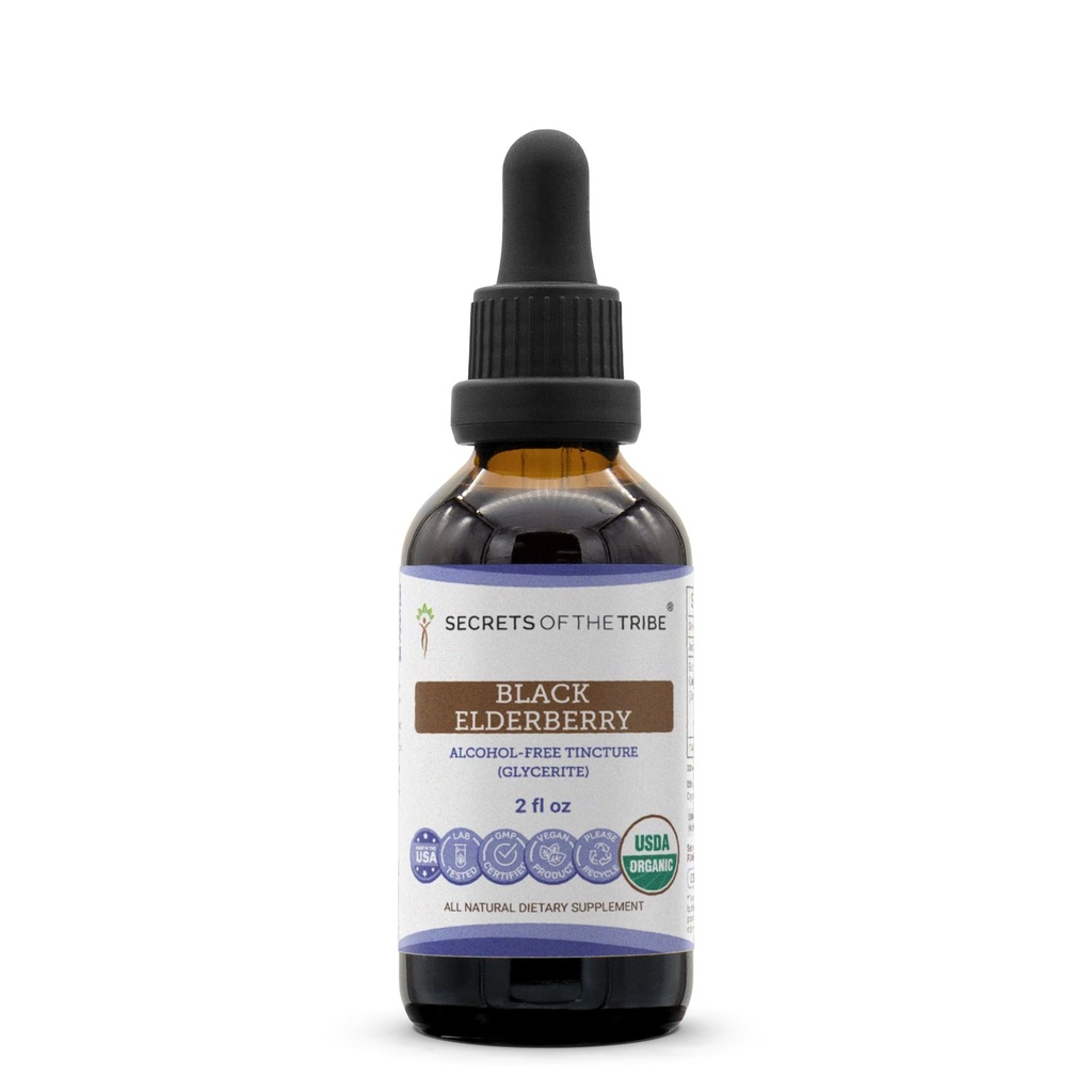 Black Elderberry USDA Organic Tincture ← Alcohol-FREE Extract, High-Potency Herbal Drops, Immune System Health TEN Made from 100% Certified Organic Black Elderberry (Sambucus Nigra) 2 oz