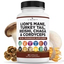 León Mane Mushroom Suplemento con Turquía Tail Reishi Cordyceps Chaga con Marshmallow Root - 1-Pack