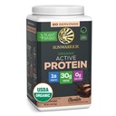 Sunwarrior Planta Orgánica Basada en Polvo Proteína ANTE Vegan Orgánica Proteína Polvo con BCAA Aminoácidos Plus Recuperación Minerales & Botánicos ← No GMO Soy Dairy & Gluten Gratis (Chocolate, 20 Servings)