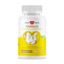 Lo mismo para los perros - 120 Tablas Chewable - S-Adenosyl-L-Metionina, Suplemento del hígado - Salud cerebral, promueve el apoyo cognitivo, soporte para el hígado (Same Tablet)