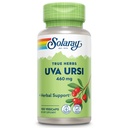 SOLARAY Uva Ursi Leaf 460 mg Silencioso Vejiga Saludable, Riñón &amp; Función de Tracto urinario Apoyo ← Non-GMO Silencio 100ct (Toke 3 Daily)