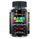ALPHA LION obtiene dulces, píldoras suplementarias para el flujo muscular " de sangre, boóster de óxido nítrico, soporta el enfoque mental, uso diario para mejorar el rendimiento de entrenamiento, 63 cápsulas (Nitrosigine)