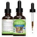 Bienestar de mascotas Jóvenes en el corazón para perros - Salud del corazón, Sistema circulatorio " Cardiovascular, Hawthorn, Motherwort, Schisandra - Veterinario-Formulado Herbal Suplemento 2 fl oz (59 ml)