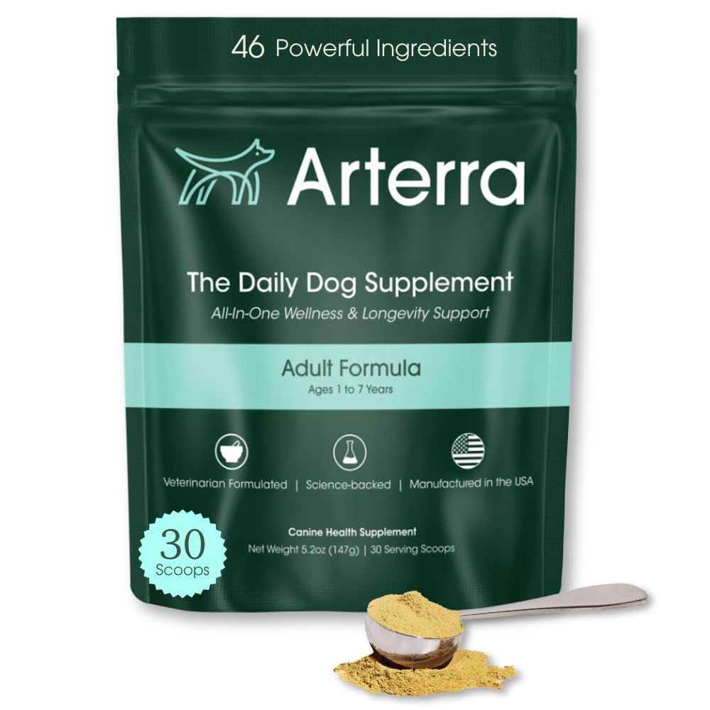 Adult Dog Powder Suplemento &amp; Food Topper – 46 Ingredientes para Gut, Immune & Brain Health – Daily Longevity Multivitamin for Whole Body Wellness TEN 30 Scoops