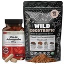DailyNutra KSM 66 Ashwagandha (90 Capsules) y Mushroom Cacao Mix (16oz) Bundle for Relaxation and Focus