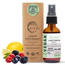 Orgánica ZINC Boost Mist 40 mg (Extra Strength) - Azúcar gratis con Vit C y el extracto de arándano - Vegan Liquid Spray para niños y adultos - Easy Absorption - Non-GMO - (60 ml) 60 días de suministro