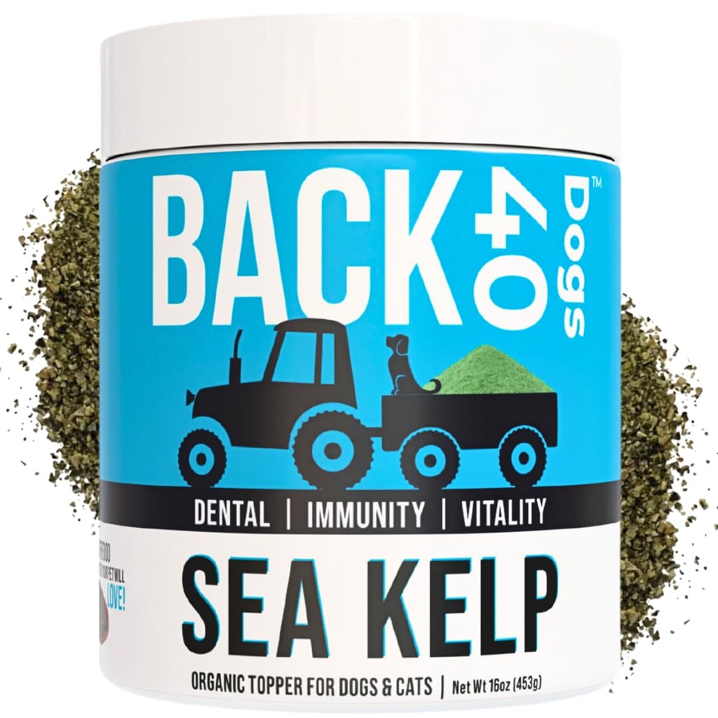 Orgánica Kelp Powder para Perros, Secado Sea Kelp Suplemento para Función Tiroidea, Salud Dental, Apoyo Inmunitario, Digestión, Piel & Coat - Iodine Rich - Multivitamínico para Gatos & Perros 16oz - Hecho en EE.UU.