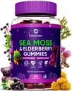 Irlandés Moss Gummies – Bladderwrack Burdock Root Elderberry Vitamin C & Zinc – 60 Vegan Seamoss Gummy Bears for Adultos Niños Mujeres – Multimineral Elderberry Vitaminas