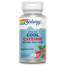 SOLARAY Extra Hot Cool Cayenne 100.000 HU - Tradicional Folk Remedy and Digestion Aid - Bio-Cool Process - Lab Verified, GMP Facility, 60-Day Guarantee - 45 Servings, 90 VegCaps