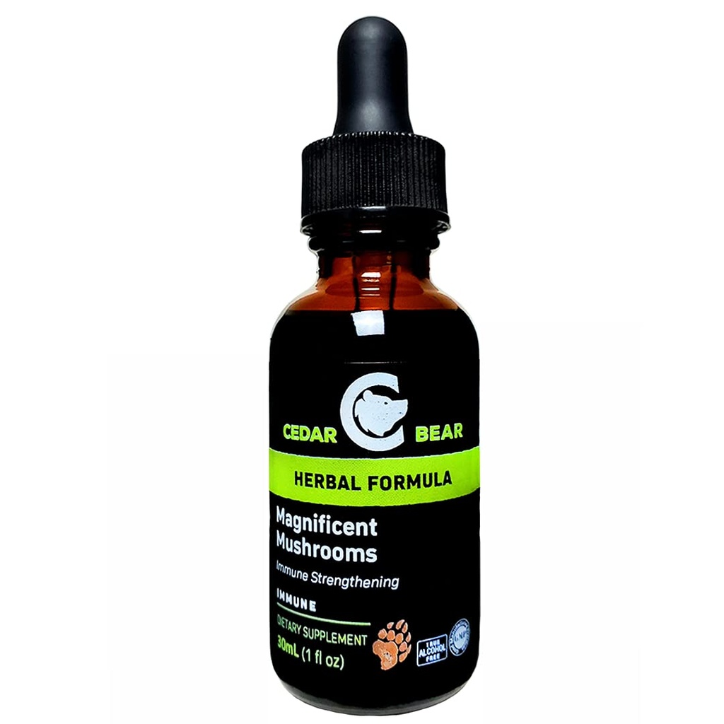 Oso de Cedro Magníficos Setas un Suplemento Herbal Líquido que Construye El Sistema Inmunitario, Protege, Fortalece y Balances Salud general 1 Fl Oz