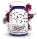 Andrographis paniculata Capsules tención 200mg Silencio 60 Conde tención 50% Andrographolides  Apoyo Función inmunitaria ¦