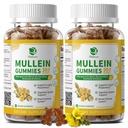 (2 Pack) 9 in 1 Mullein Gummies for Lung Cleanse " Detox, Extra Strength Mullein Leaf Extract w/Quercetin, Bromelain, Elderberry " Marshmallow for Respiratory, Immune " Digestive, Vegan,120 Count