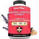 Nutrivein Premium Fadogia Agrestis y Tongkat Ali Suplemento con Turkesterone - 1100 mg - 120 Cápsulas - Synergistic Blend for Performance, Strength, " Recovery for Men " Women of All Ages