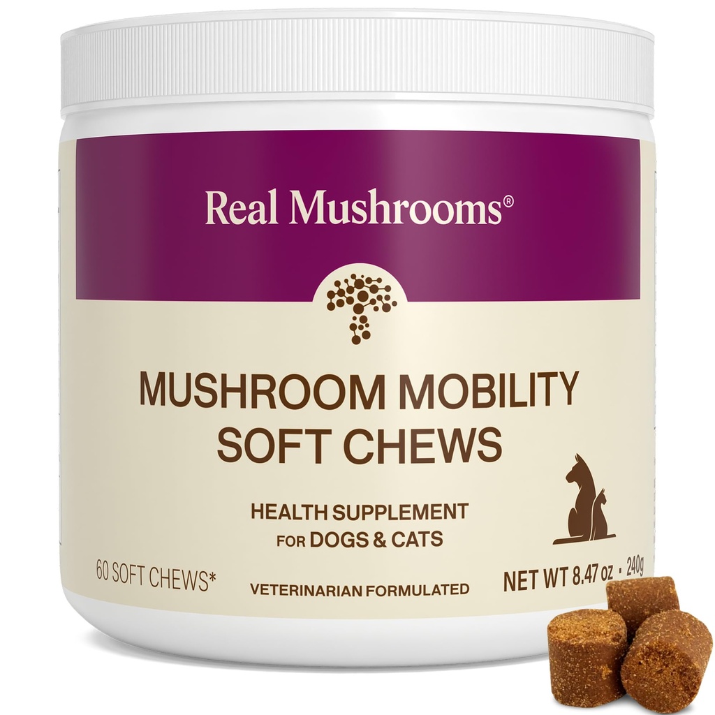 Real Mushrooms Mobility Chews for Dogs & Cats – Green Lipped Mussel & ErgoGold Mushroom Blend – Dogs & Cat Vitamins Treats for Active Routines – Joint, Hip & Flexibility Support – 240 ct Suplemento