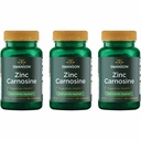 Swanson Zinc Carnosine (PepZin GI) - Suplemento Natural Promoción de la Salud Gástrica &amp; Apoyo Digestivo - Apoya el equilibrio microbiano en el estómago - (60 cápsulas) (3 Pack)