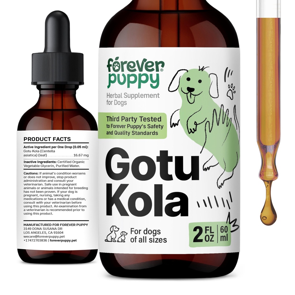 Forever Puppy Gotu Kola Drops for Dogs - Centella Asiatica " Gotu Kola Extract for Brain Health Support - Liquid Brain Supplement for Dogs of All Breeds " Sizes - 2 oz