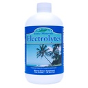 Electrolitos de Eidon - gotas de electrolito líquido, suplemento mineral ónico para añadir al agua, reponer " equilibrio El equilibrio electrolípido, soporte de hidratación, azúcar sin azúcar libre - 18 oz