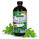 Respuesta de la naturaleza Clorofila líquida, 100 mg, 16 fl oz (480 ml)