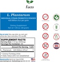Alimentos para Gut Lactobacillus Plantarum Probiotic Powder 400 Billion cfu's Silencio Hecho en EE.UU. No Additives ← Direct from Manufacturer ← No Third-Party Storage ← Immune Support ← 30 Grams (1.05 Oz)